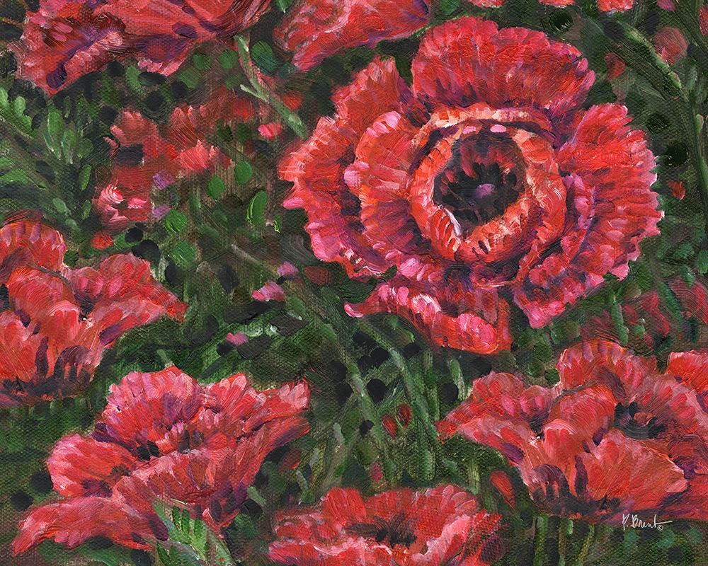 Impressions of Poppies Horizontal II art print by Paul Brent for $57.95 CAD