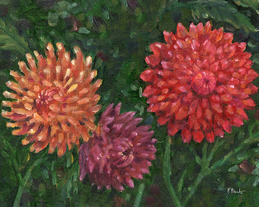 Impressions of Dahlias Horizontal II art print by Paul Brent for $57.95 CAD