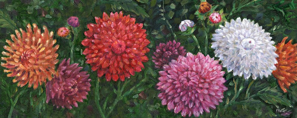 Impressions of Dahlias Horizontal III art print by Paul Brent for $57.95 CAD