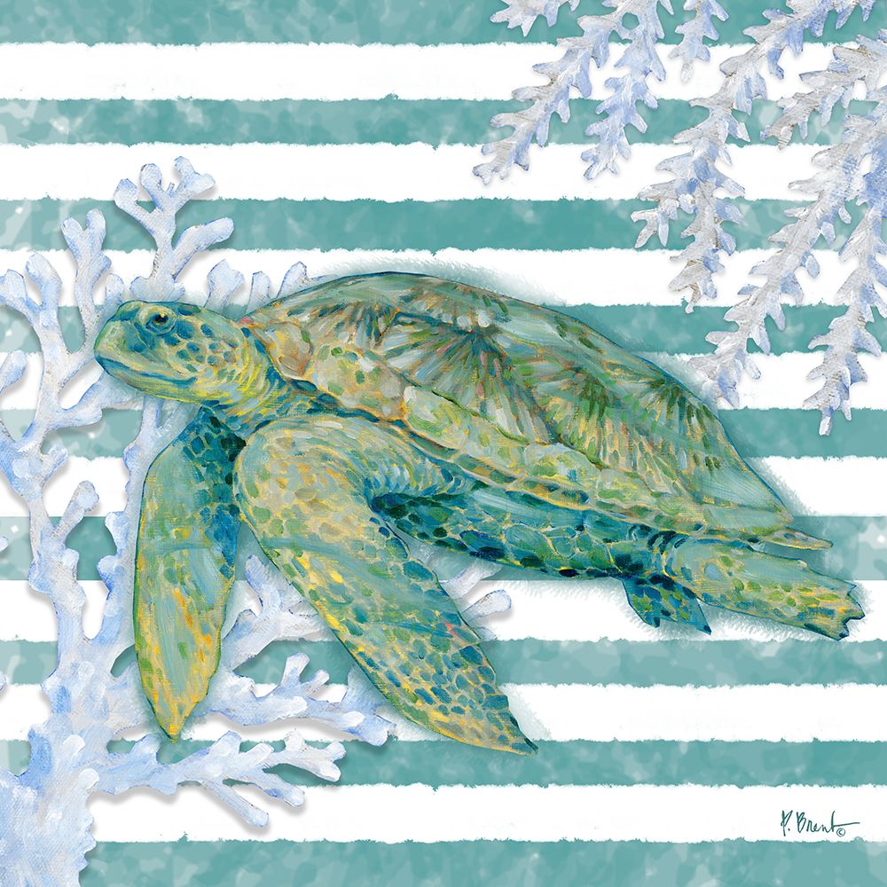 Aka Sea Turtle art print by Paul Brent for $57.95 CAD