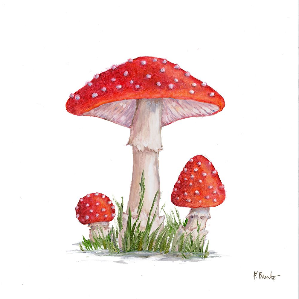 Mushroom Patch II art print by Paul Brent for $57.95 CAD