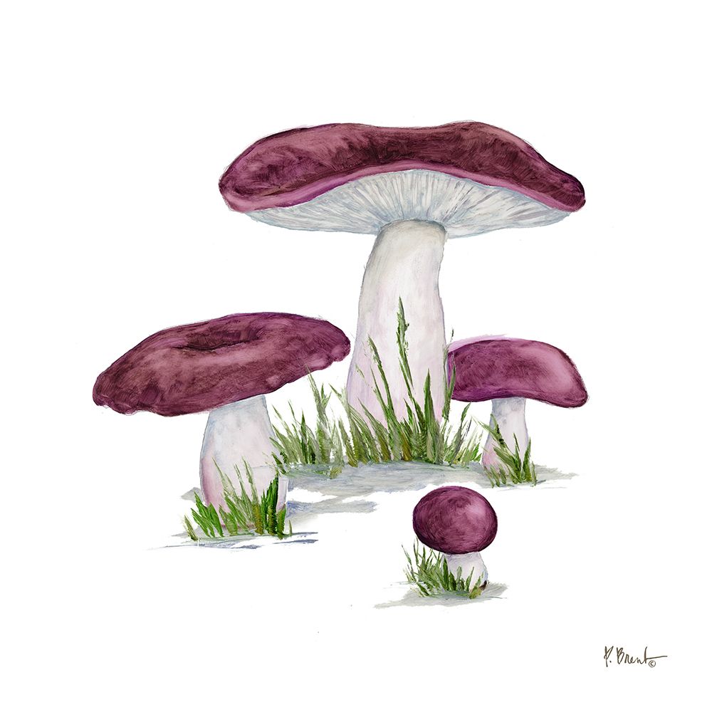 Mushroom Patch IV art print by Paul Brent for $57.95 CAD