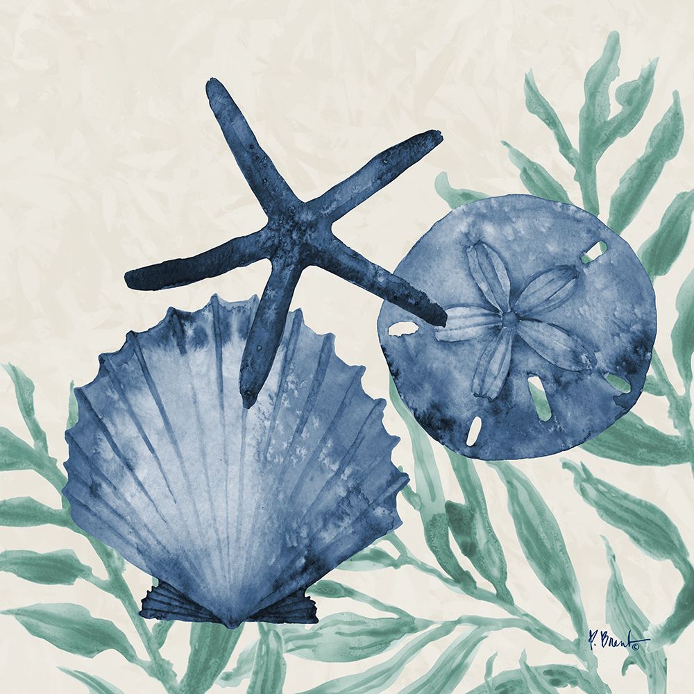 Tampico Shells II - Sea art print by Paul Brent for $57.95 CAD