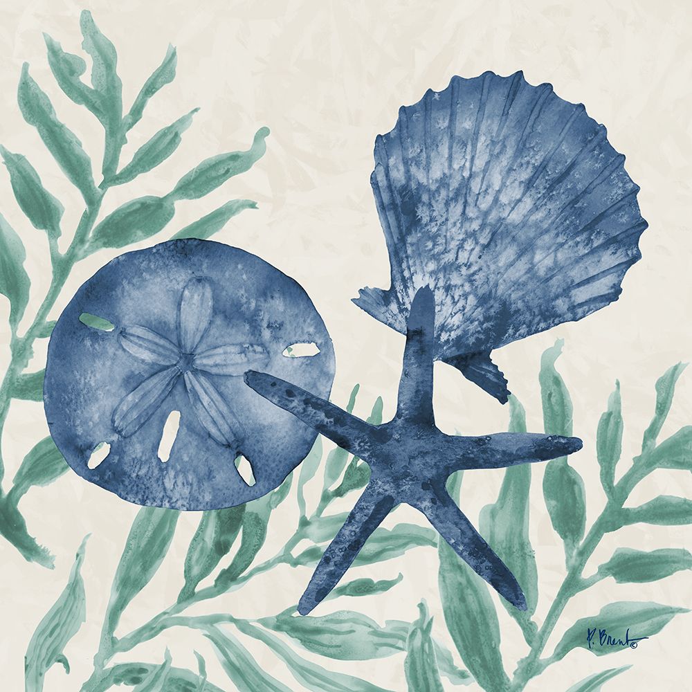 Tampico Shells III - Sea art print by Paul Brent for $57.95 CAD