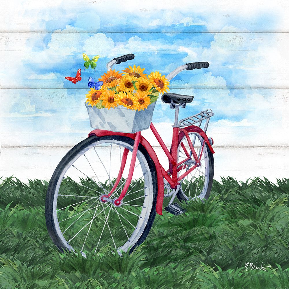 Floral Bicycle Basket II art print by Paul Brent for $57.95 CAD