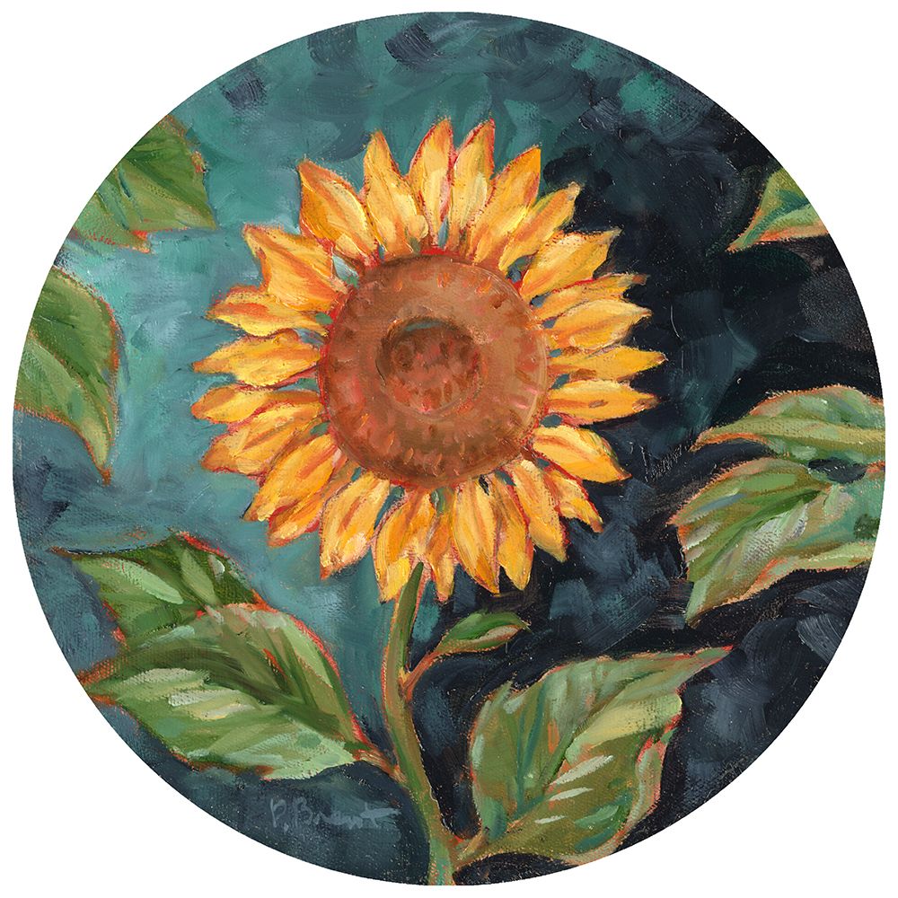 Sun Lit Sunflower art print by Paul Brent for $57.95 CAD