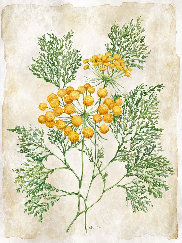 Floral Journal II art print by Paul Brent for $57.95 CAD