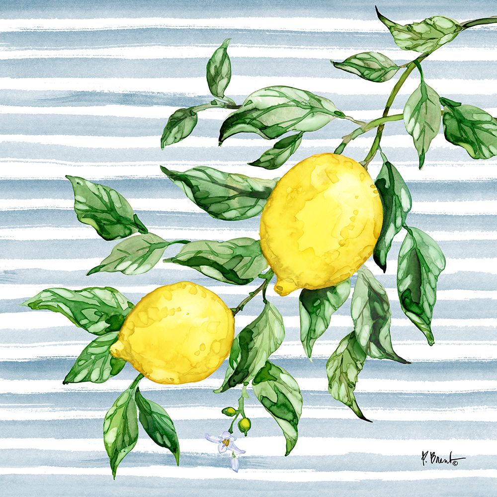 Juicy Lemon Vine IV art print by Paul Brent for $57.95 CAD