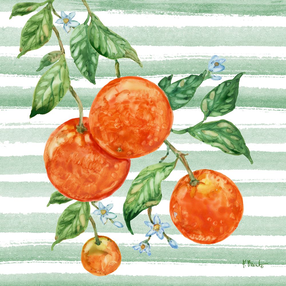 Juicy Orange Vine I art print by Paul Brent for $57.95 CAD