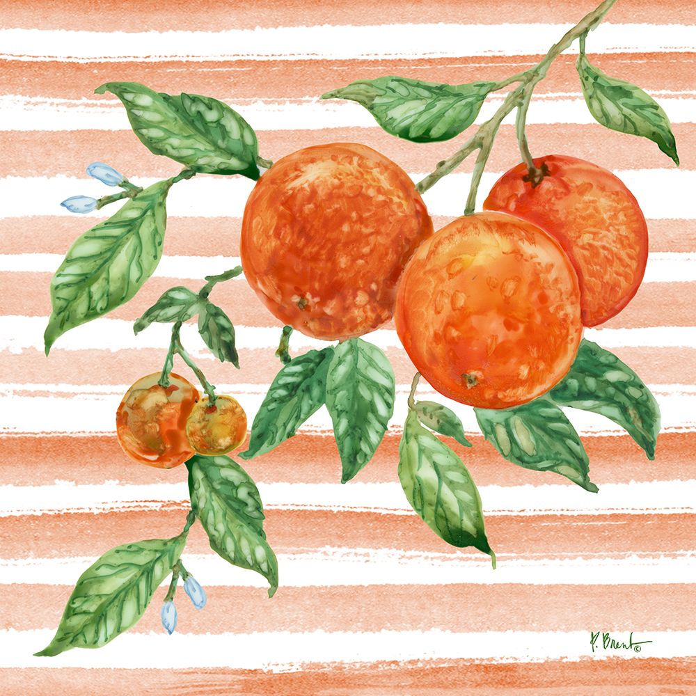 Juicy Orange Vine II art print by Paul Brent for $57.95 CAD