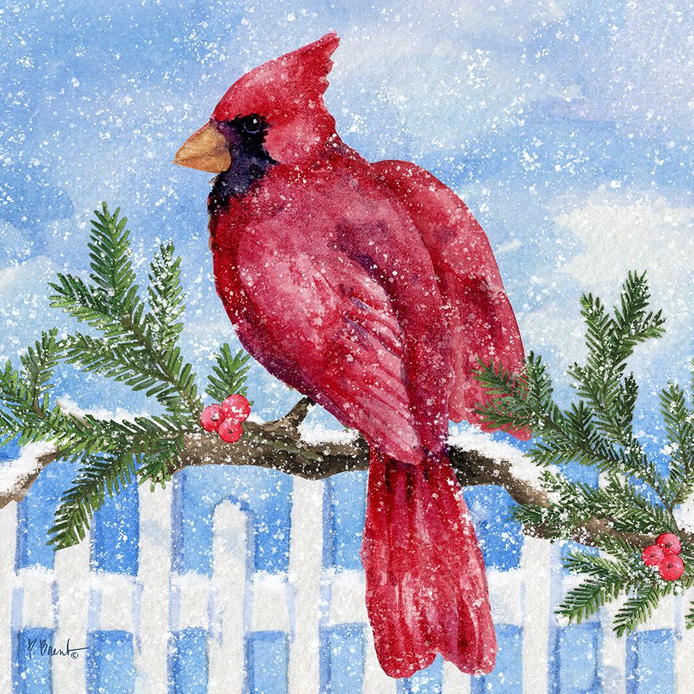 Snowy Cardinal with Greenery art print by Paul Brent for $57.95 CAD
