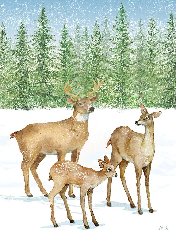 Winter Deer Family art print by Paul Brent for $57.95 CAD
