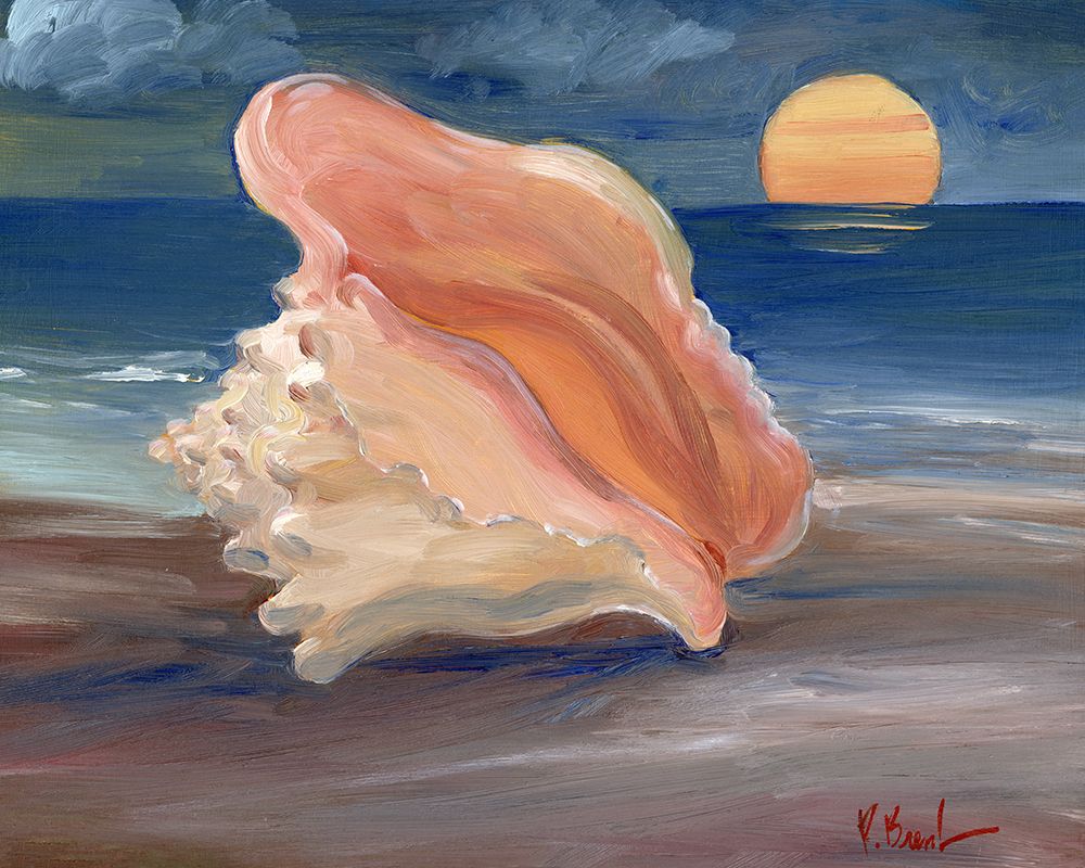 Sunset Conch art print by Paul Brent for $57.95 CAD