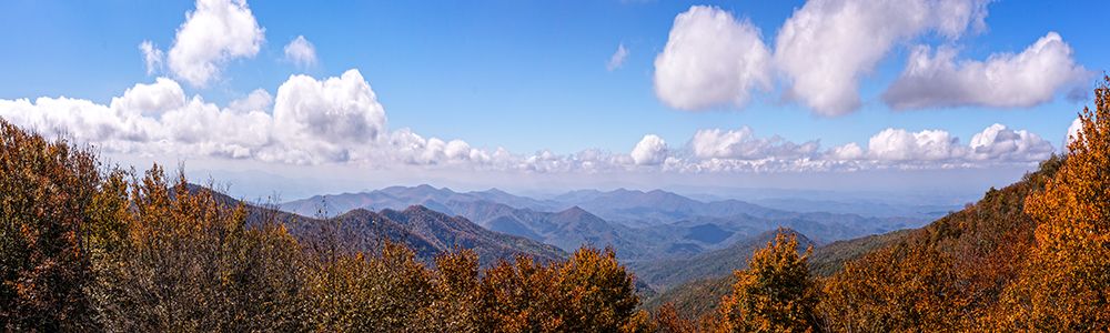 NC Early Fall Pano 1 art print by Rachel Lee for $57.95 CAD
