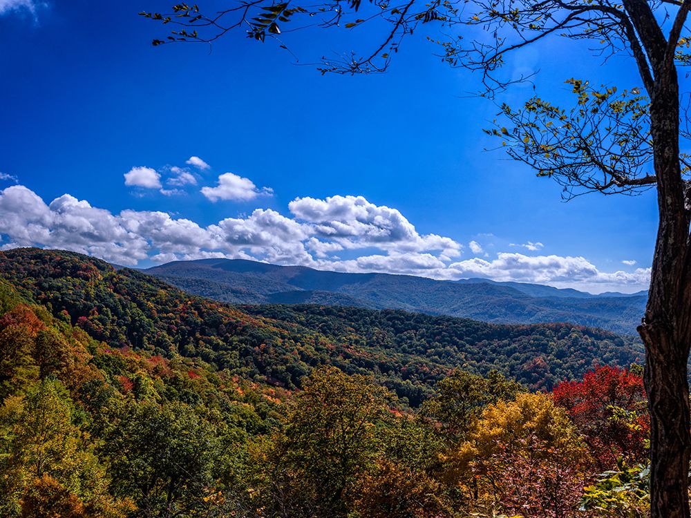 NC Fall Mountains 1 art print by Rachel Lee for $57.95 CAD