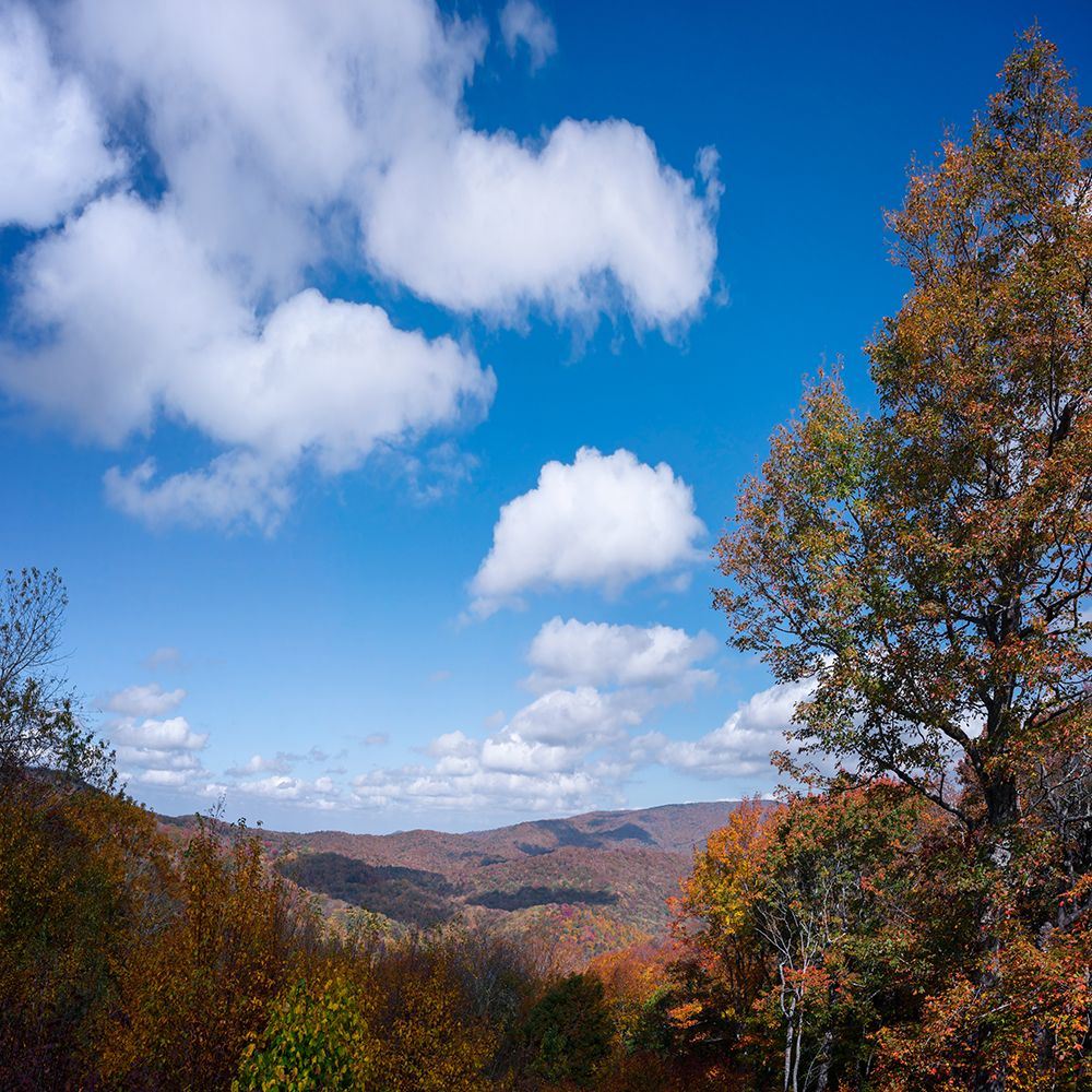 NC Fall Mountains 2 art print by Rachel Lee for $57.95 CAD