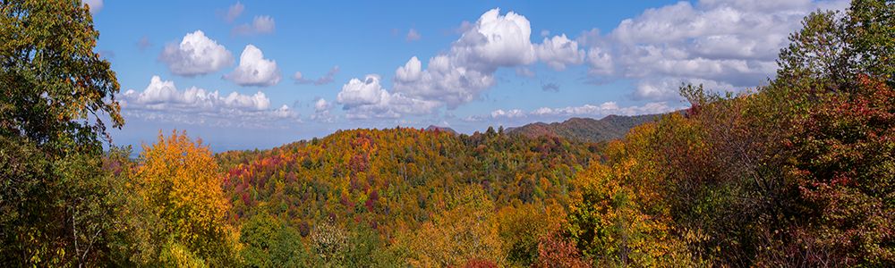 NC Fall Mountains 3 art print by Rachel Lee for $57.95 CAD