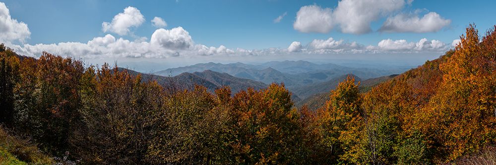 NC Fall Mountains 4 art print by Rachel Lee for $57.95 CAD