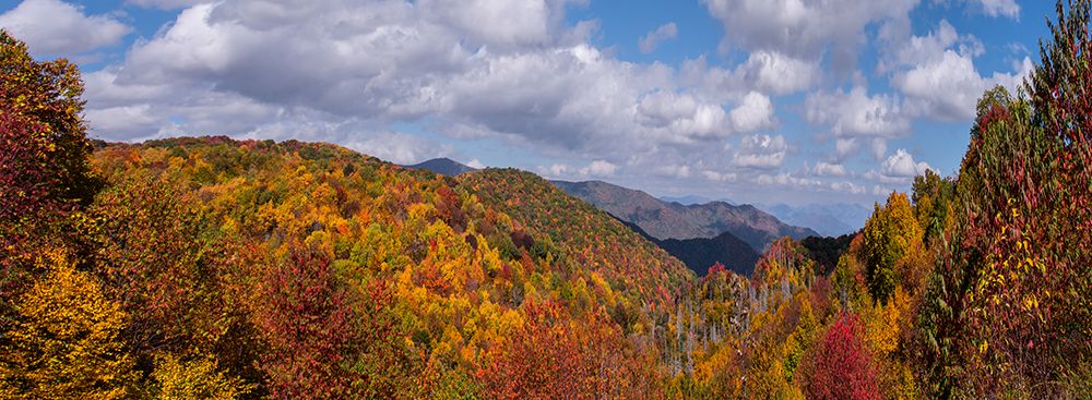 NC Fall Mountains 5 art print by Rachel Lee for $57.95 CAD