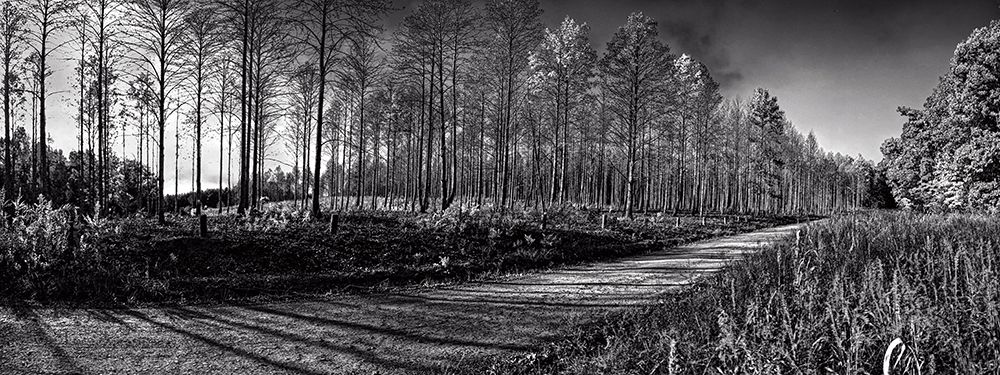Prentice Road Pano BW art print by Rachel Lee for $57.95 CAD