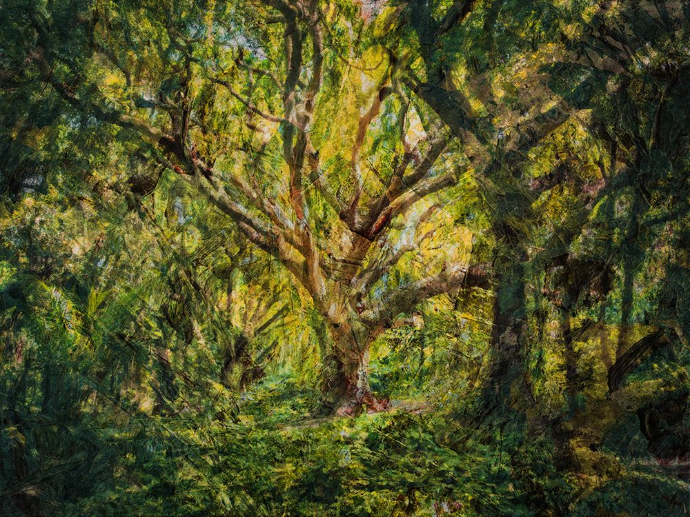 Trees 53 Painted art print by Rachel Lee for $57.95 CAD
