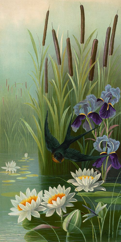 Bird and Cat Tails art print by Screendoor for $57.95 CAD