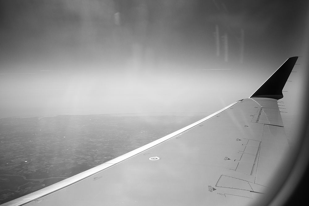 Wing art print by Will Malone for $57.95 CAD