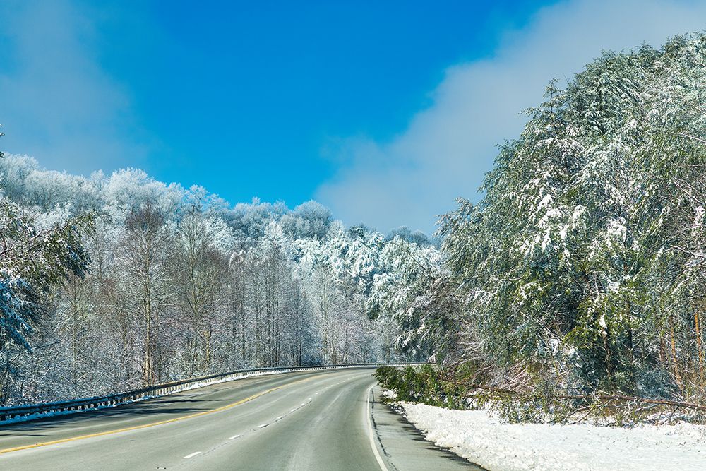 Snow Road art print by Will Malone for $57.95 CAD