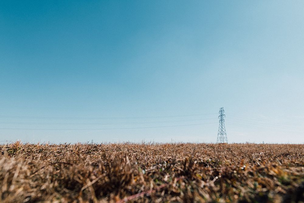 Powerline Field art print by Will Malone for $57.95 CAD