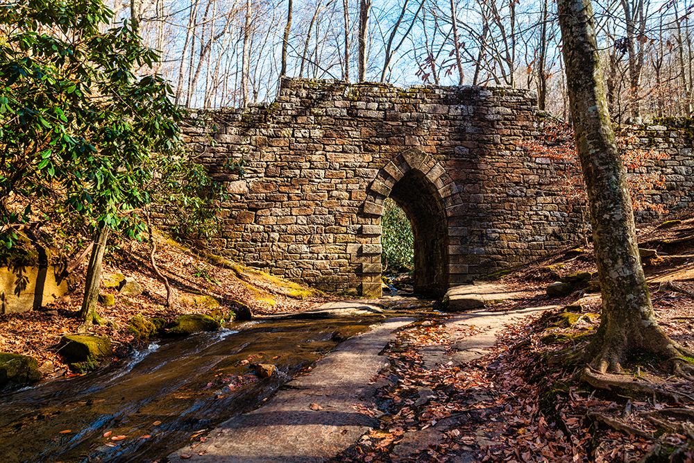 Poinsett Bridge 2 art print by Will Malone for $57.95 CAD