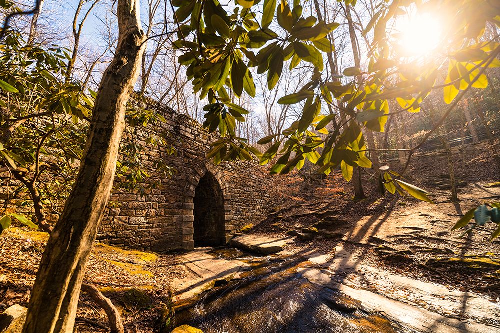 Poinsett Bridge 3 art print by Will Malone for $57.95 CAD