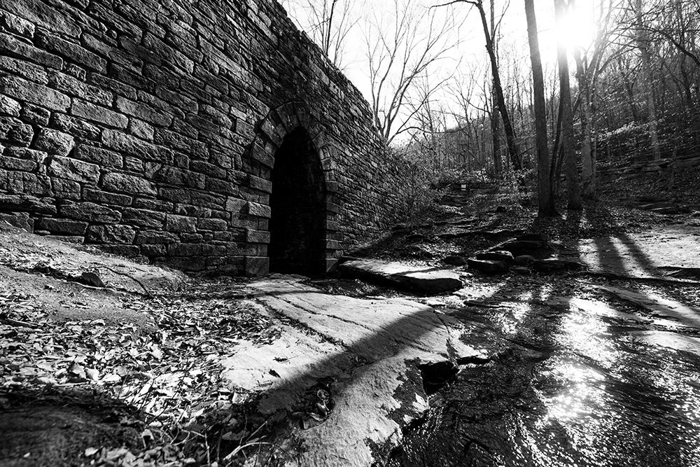 Poinsett Bridge 9 art print by Will Malone for $57.95 CAD