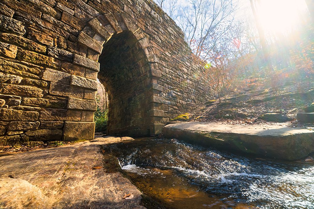Poinsett Bridge 10 art print by Will Malone for $57.95 CAD