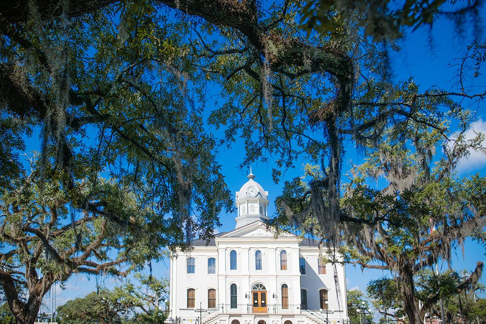 Live Oak Courthouse art print by Will Malone for $57.95 CAD