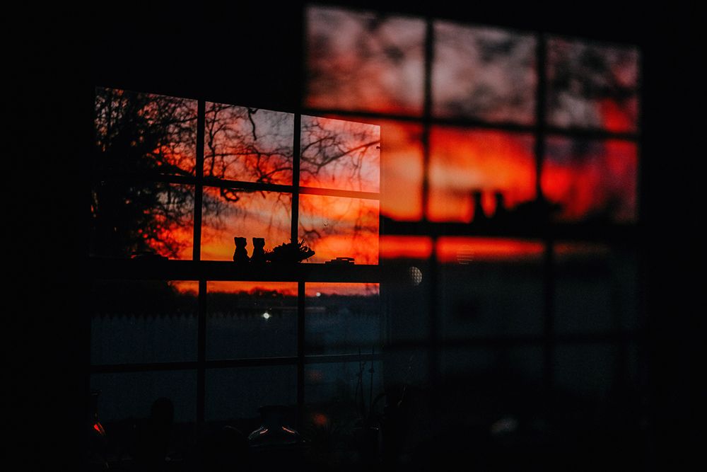 Sunset Window 5 art print by Will Malone for $57.95 CAD