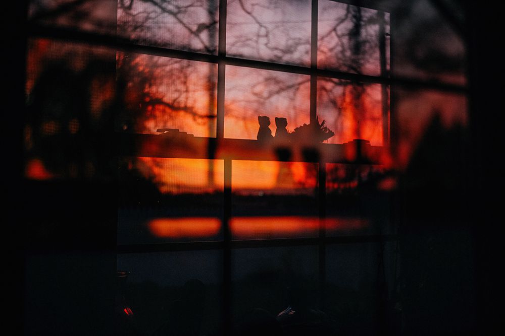 Sunset Window 6 art print by Will Malone for $57.95 CAD