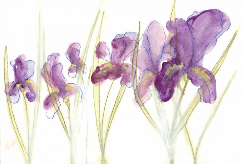 Spring Garden IV art print by Arielle Adkin for $57.95 CAD