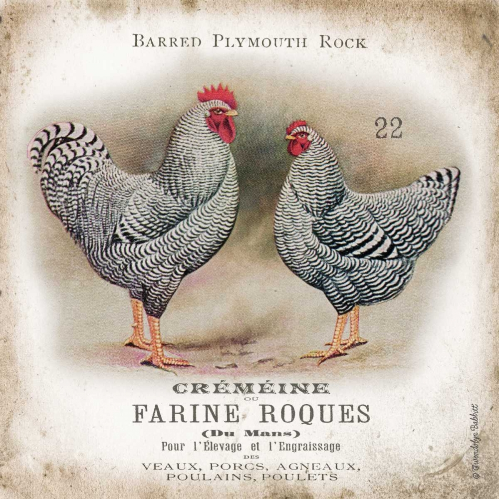 Chicken Pair II art print by Gwendolyn Babbitt for $57.95 CAD
