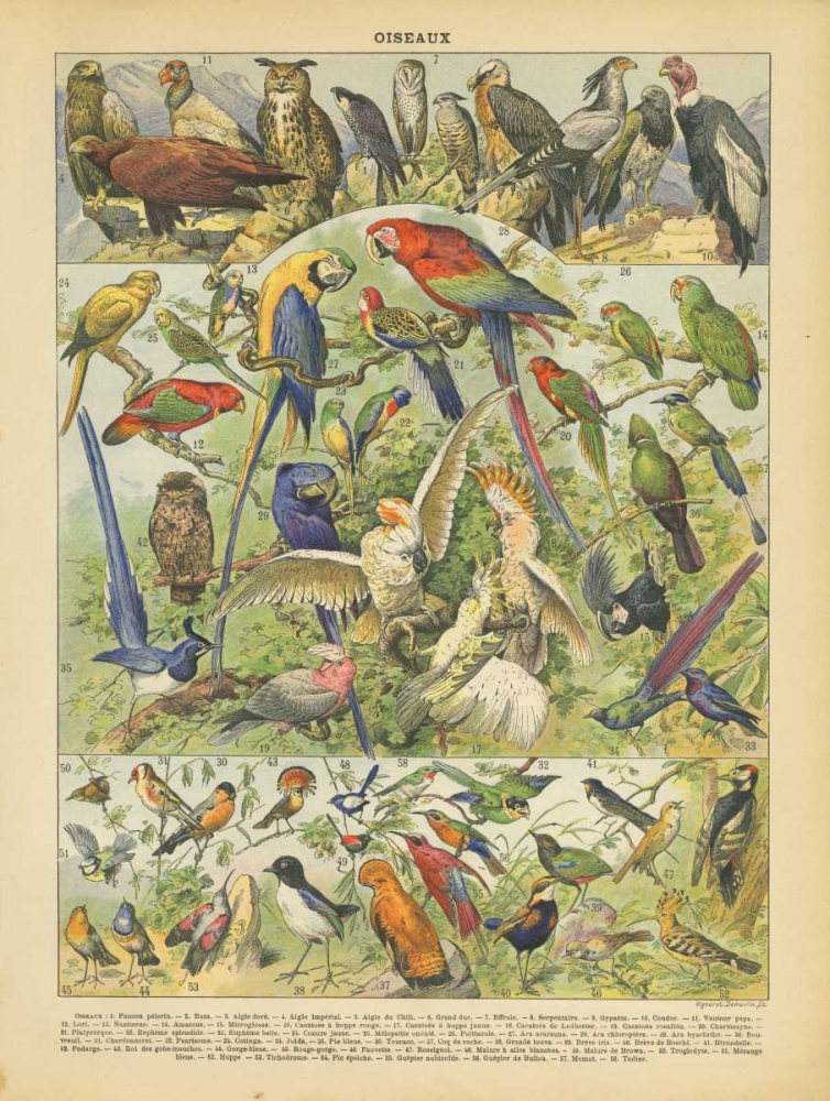 Oiseaux II art print by Gwendolyn Babbitt for $57.95 CAD