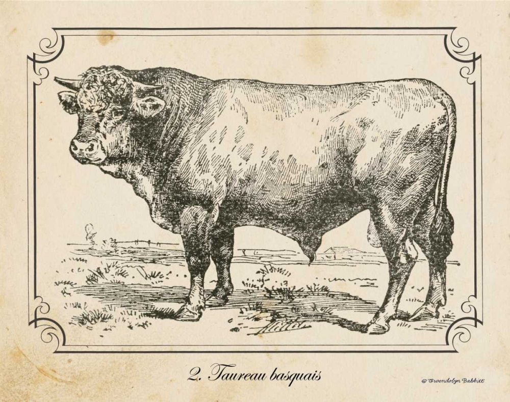 Farm Bull II art print by Gwendolyn Babbitt for $57.95 CAD