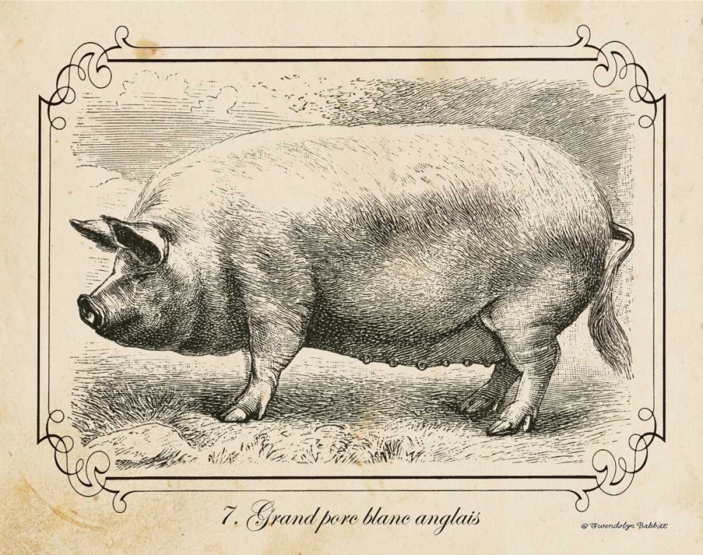 Farm Pig II art print by Gwendolyn Babbitt for $57.95 CAD