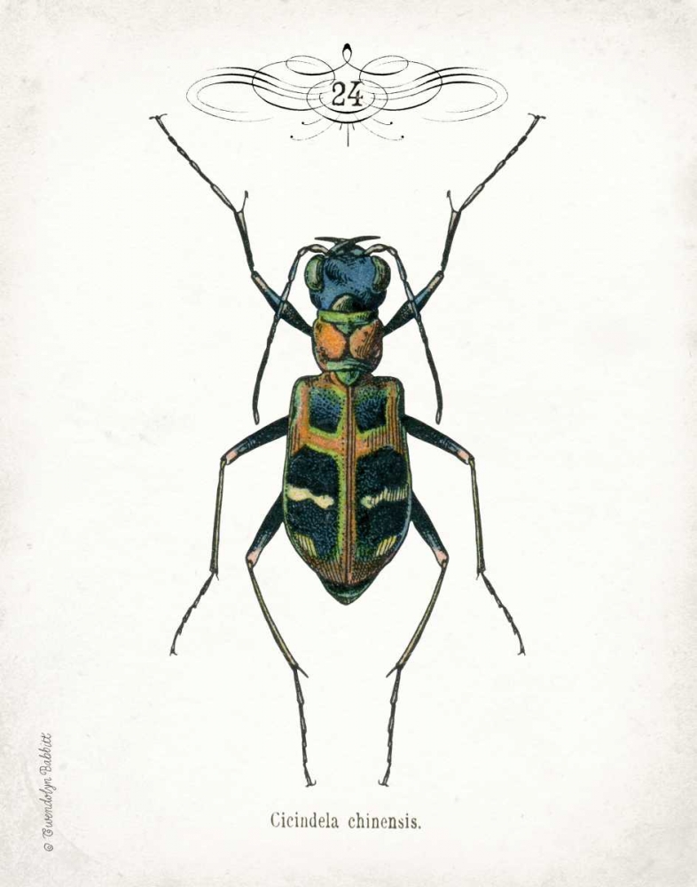 Beetle I art print by Gwendolyn Babbitt for $57.95 CAD