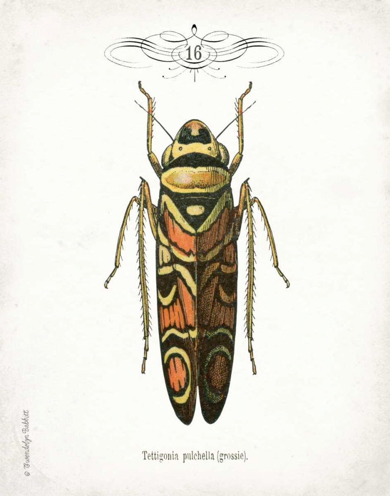 Beetle III art print by Gwendolyn Babbitt for $57.95 CAD
