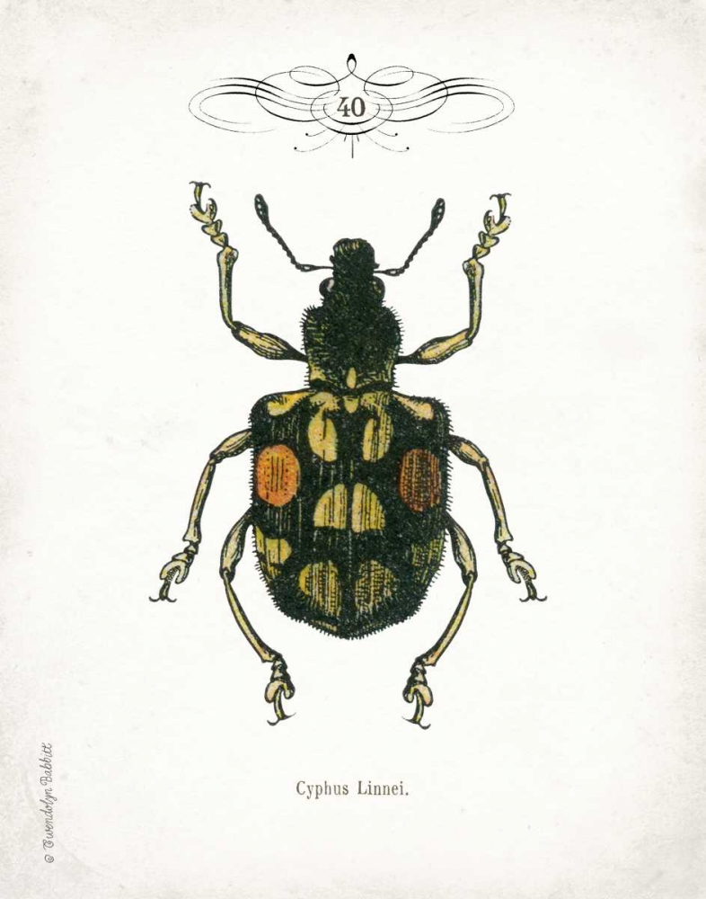 Beetle IV art print by Gwendolyn Babbitt for $57.95 CAD