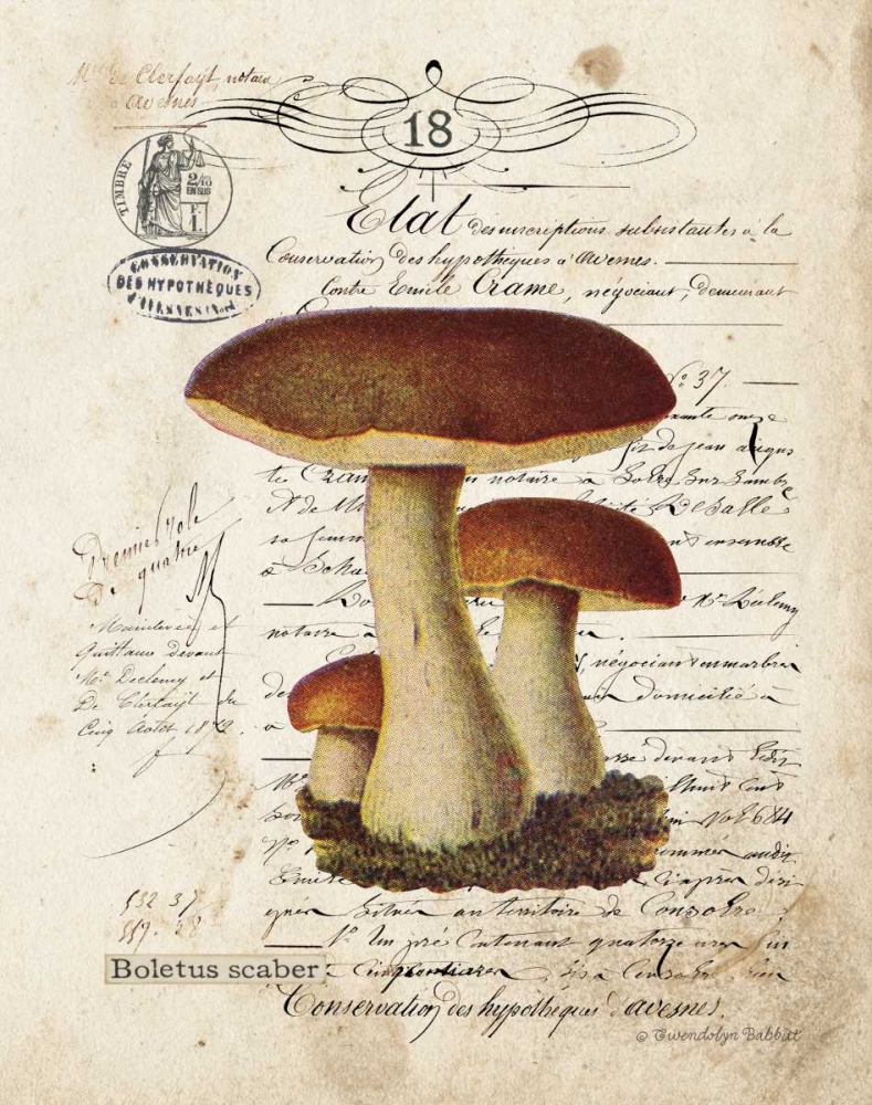 Mushroom II art print by Gwendolyn Babbitt for $57.95 CAD