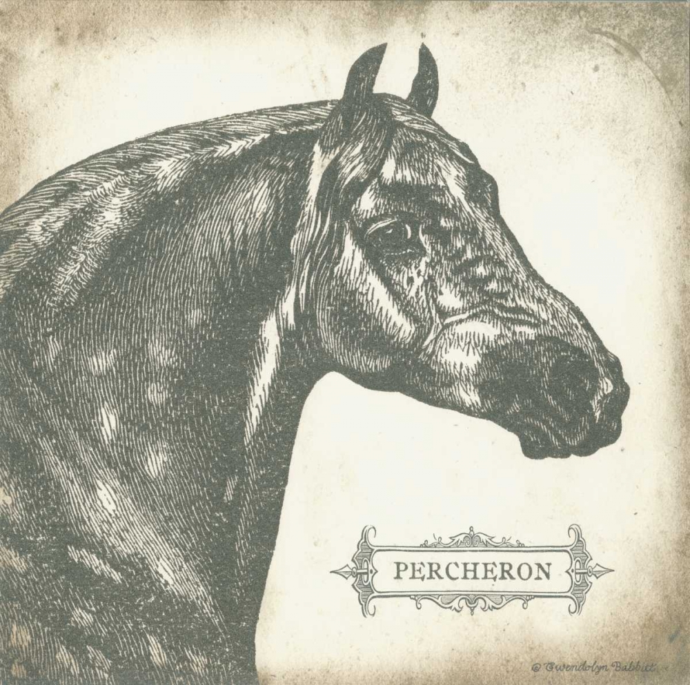 Percheron art print by Gwendolyn Babbitt for $57.95 CAD