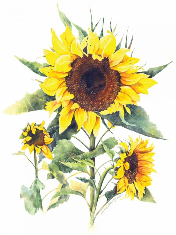 Sunflowers art print by Gwendolyn Babbitt for $57.95 CAD