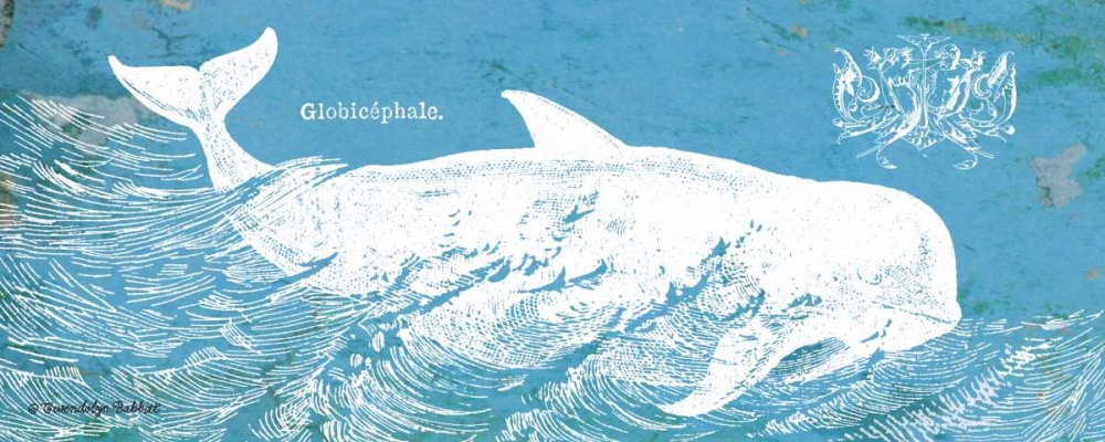 Caribbean Whale I art print by Gwendolyn Babbitt for $57.95 CAD