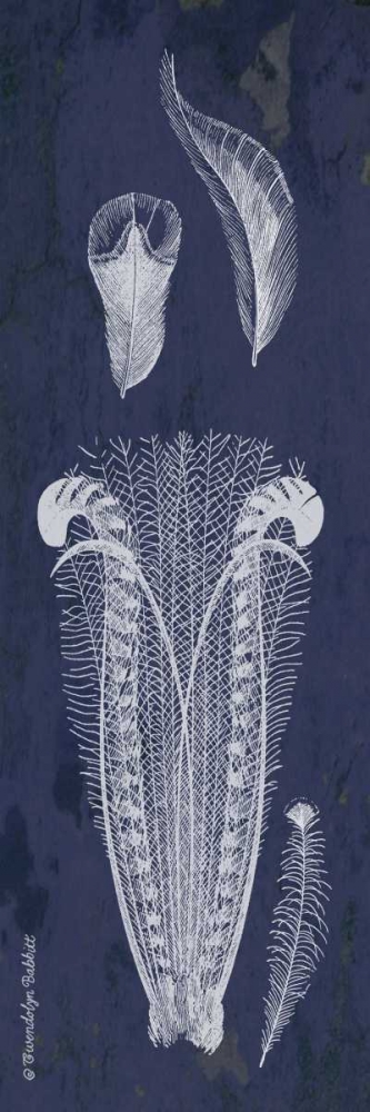 Indigo Feathers I art print by Gwendolyn Babbitt for $57.95 CAD