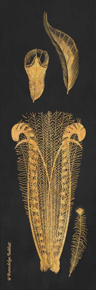 Gold Feathers I art print by Gwendolyn Babbitt for $57.95 CAD